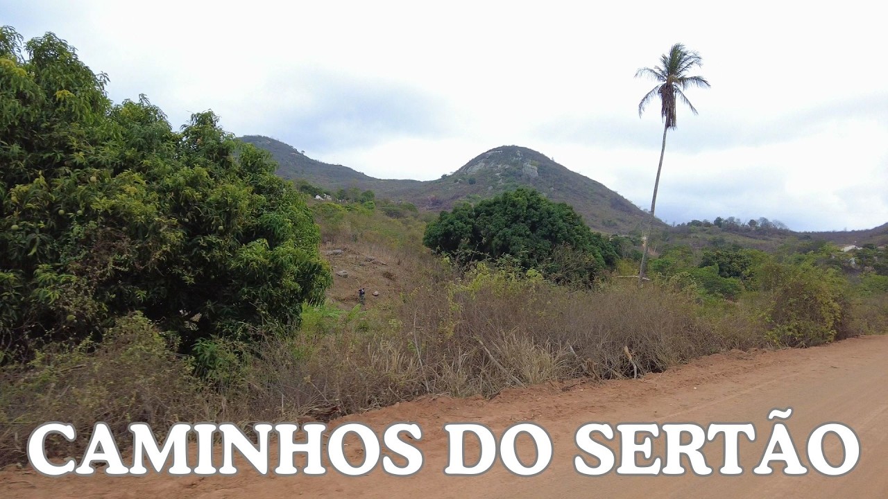 NAS ESTRADAS DO SERTÃO CEARENSE - MONSENHOR TABOSA, BAIXA FRIA, CORONEL, TOP