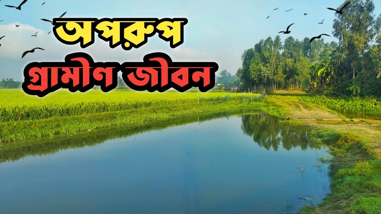 বৈরাটি বাজার | গ্রামীণ জীবনের এক অপরূপ দৃশ্য | Bangladeshi Village Life Vlog