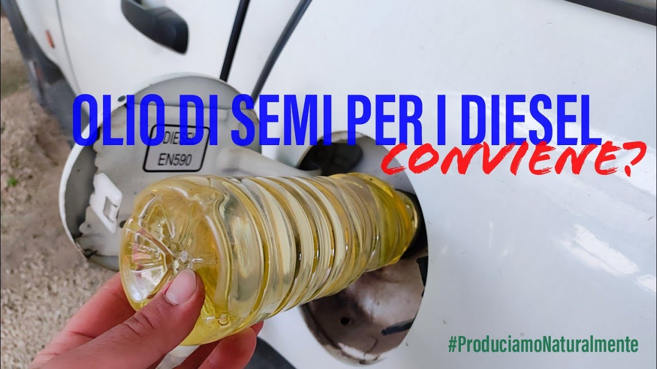 Olio di semi per i Diesel Conviene?