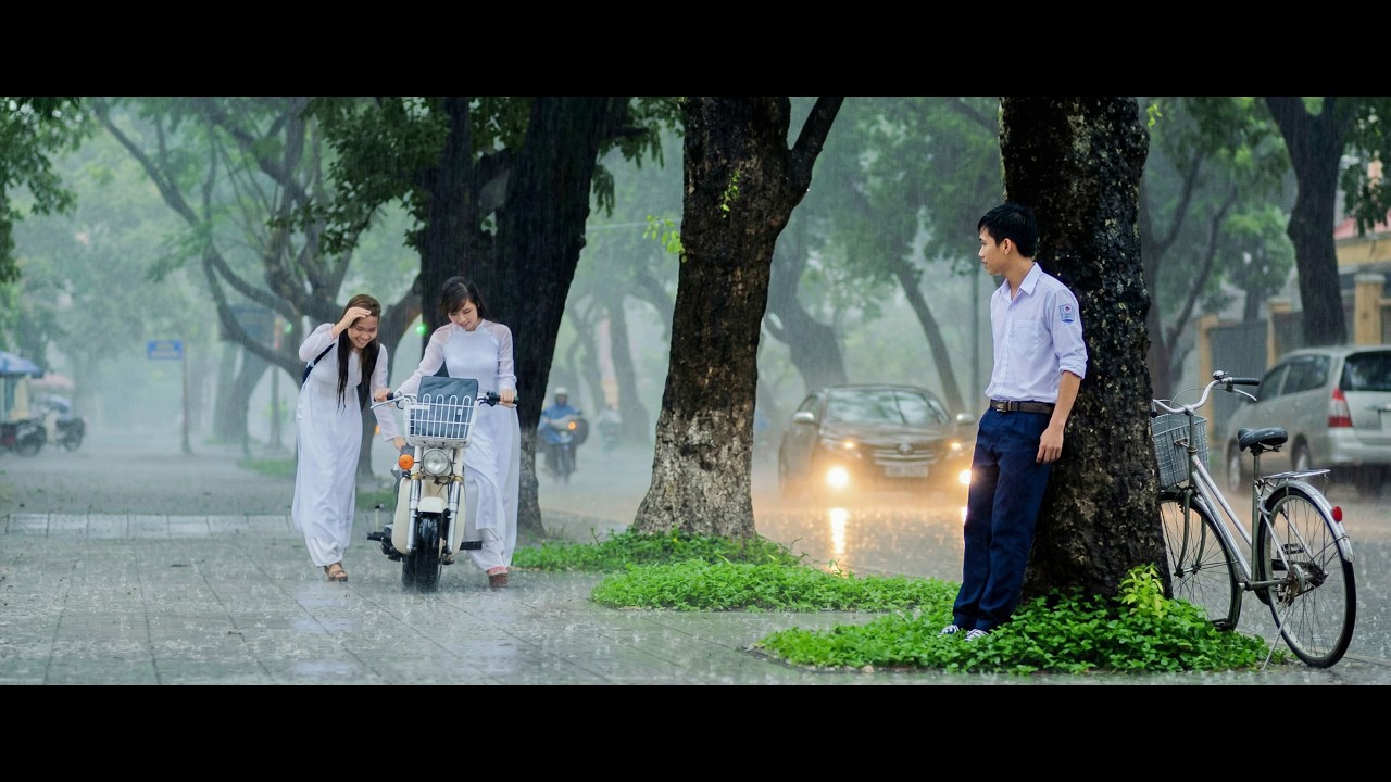 Mưa Trên Hè Phố
