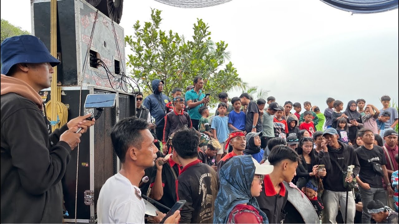 live cuta muda di tempat cipulus
