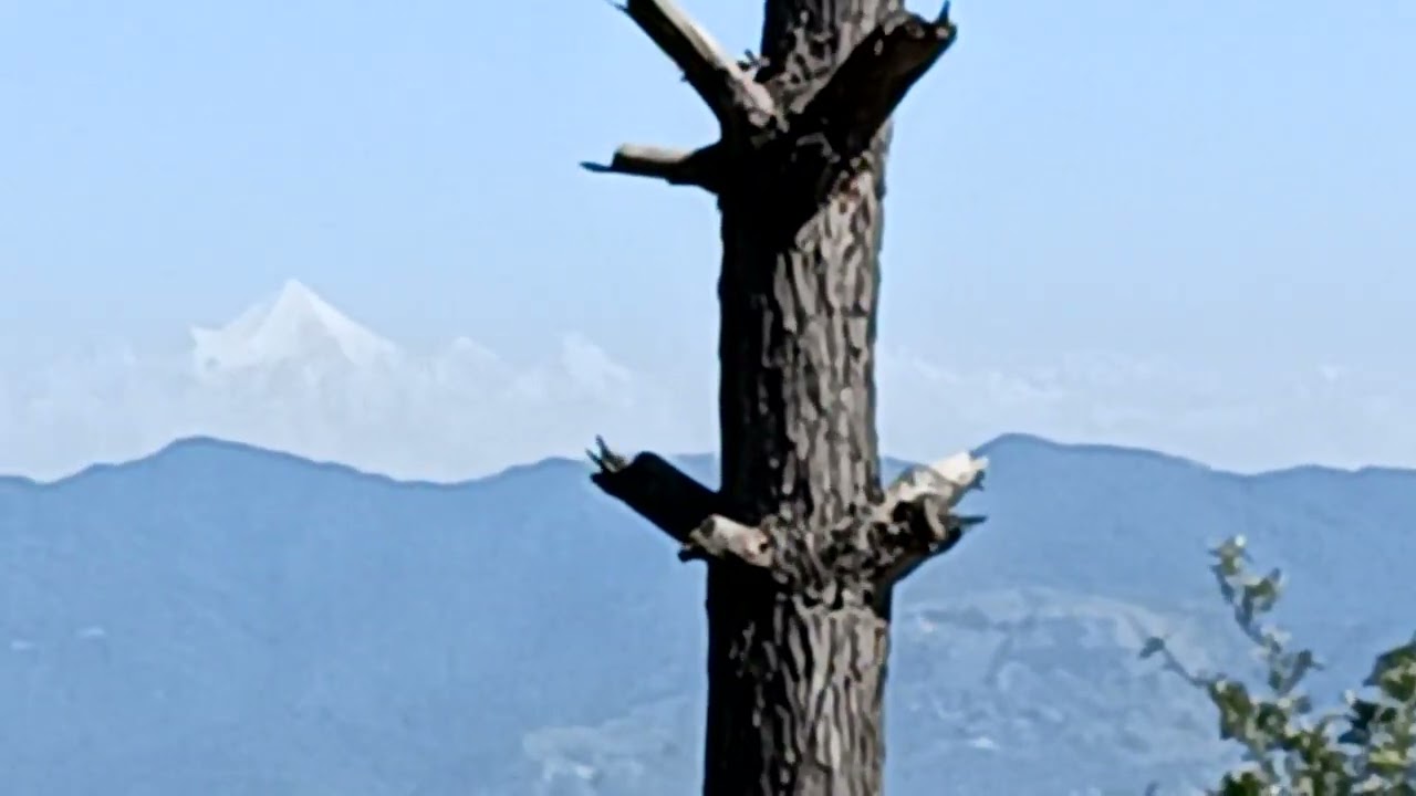 रानीखेत (उत्तराखंड) से भव्य हिमालय दर्शन।