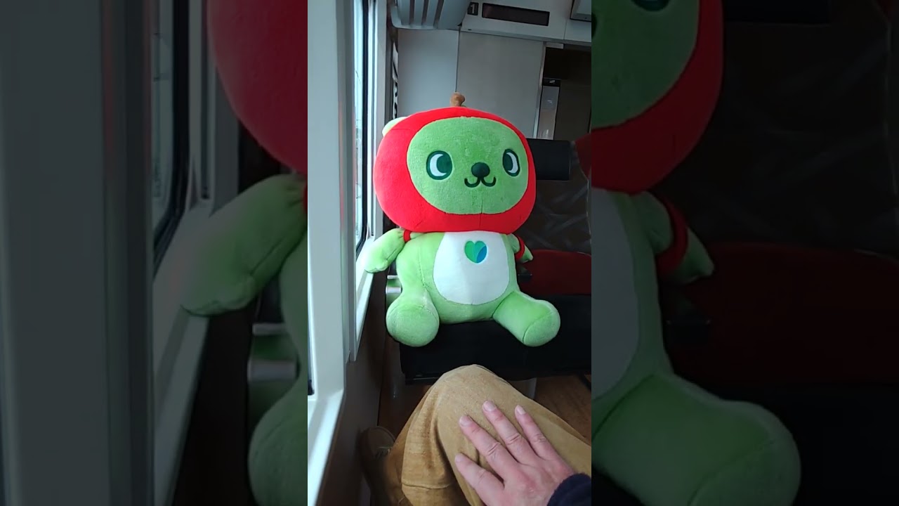 🚃快速リゾートビューふるさと🚃大糸線🚃松本⇒穂高間　with🐻アルクマw