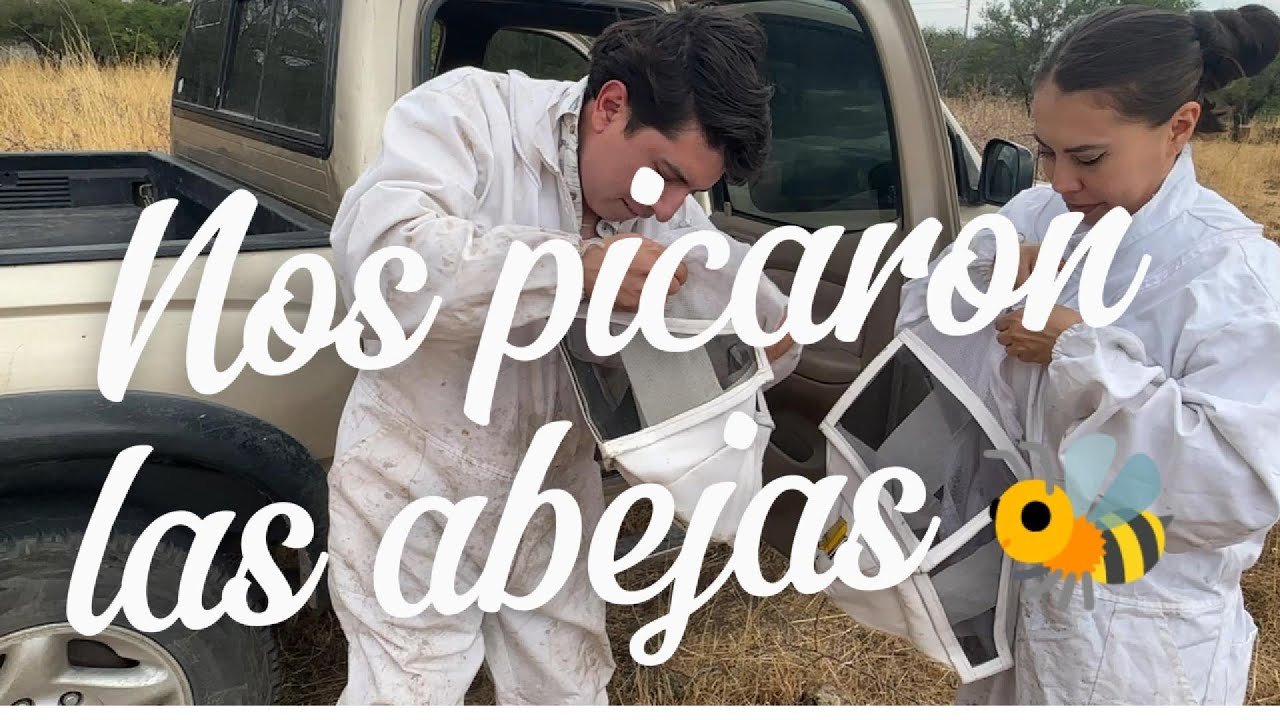 Miles de abejas 🐝 Allí llevamos a Tere Carrilo 😱