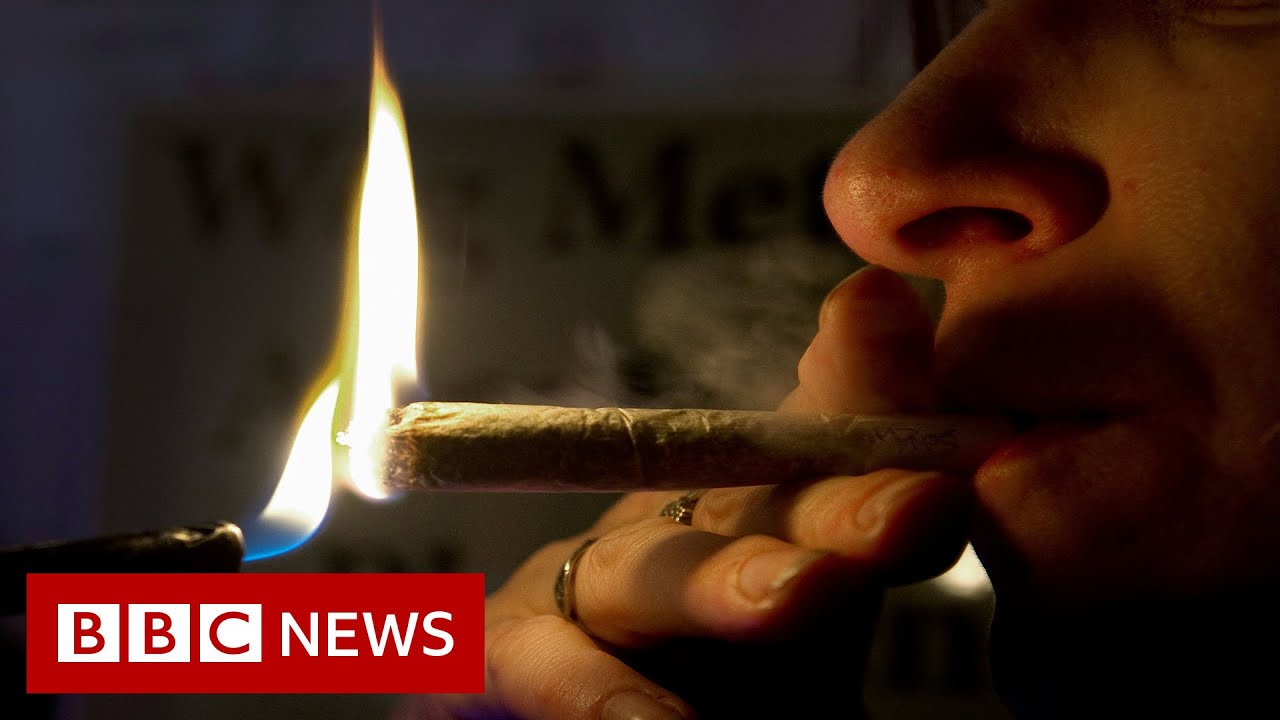Malta becomes first EU nation to legalise cannabis - BBC News