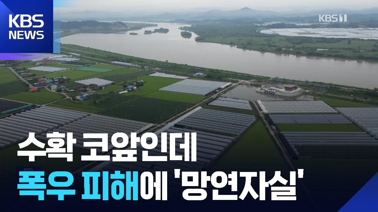 &ldquo;수확철 코앞인데&hellip;&rdquo; 폭우에 농작물 침수 &lsquo;망연자실&rsquo; / KBS  2025.09.09.
