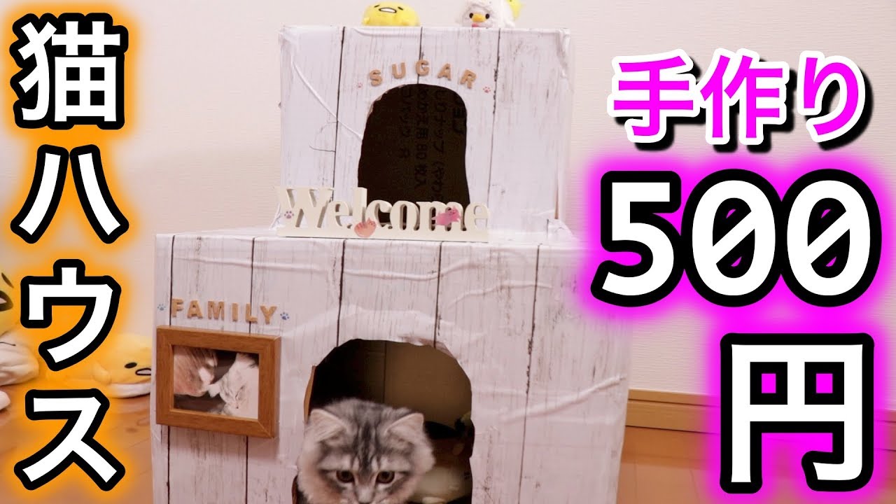 100均グッズのみで猫のダンボールハウス作ってみた！！