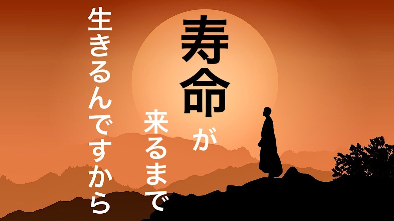 【保存版】人生で大切な事/どん底、絶望感、大切な人との別れ、人間関係、負の感情の捉え方。足るを知る。