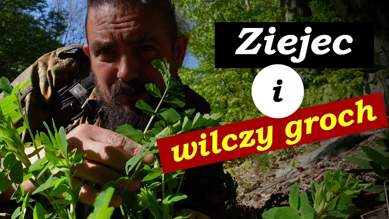 Mam szczęście, że rosną koło mnie
