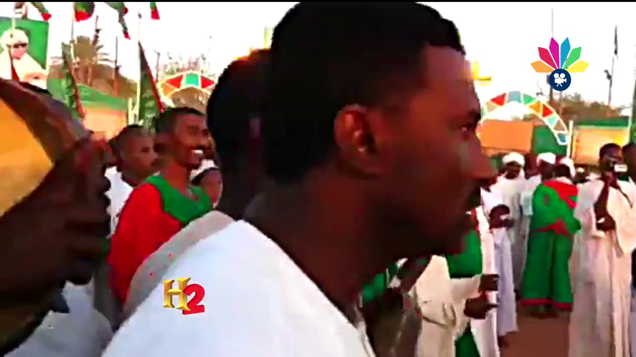 أولاد البرعي الأوائل ـ التجاني حامد ــ سالت دموع الحب