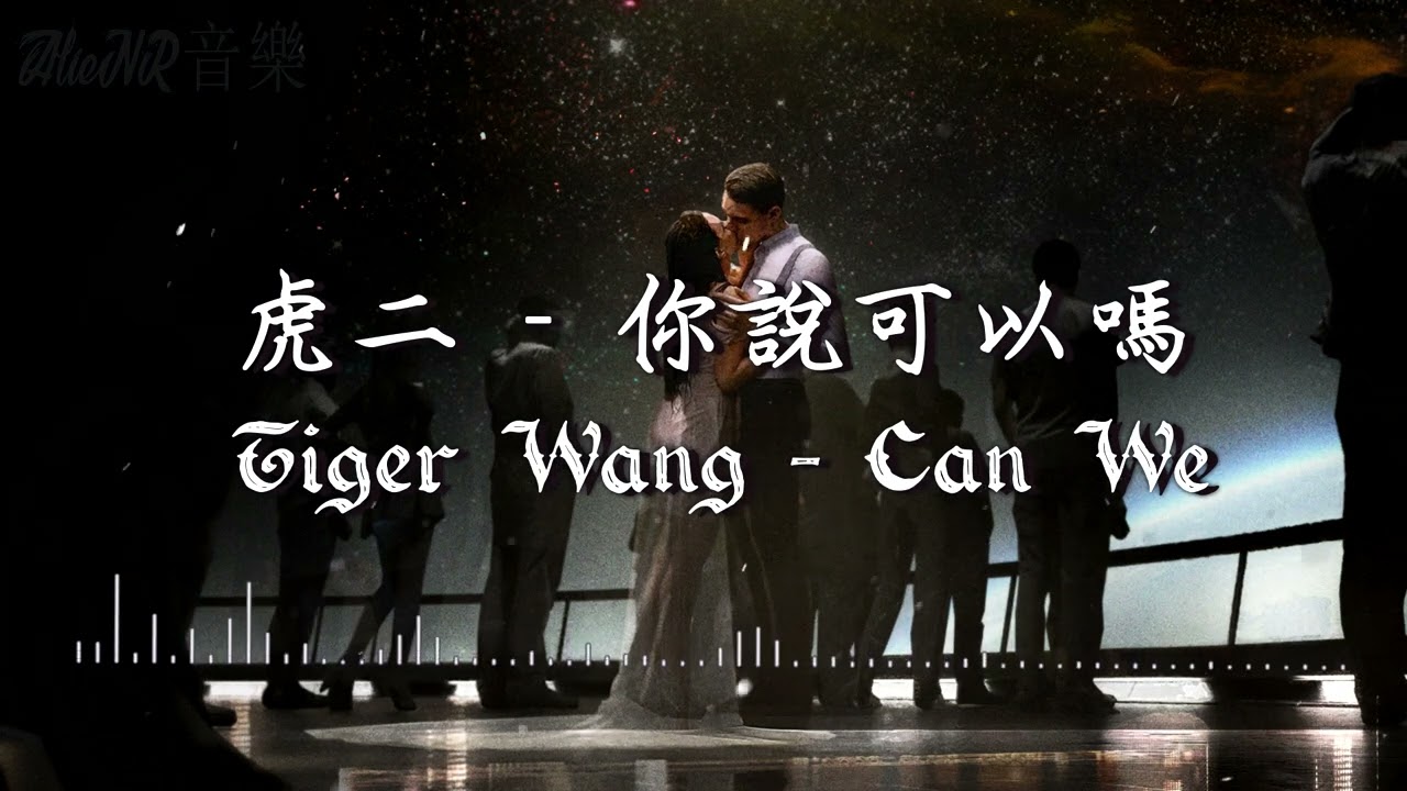 虎二 - 你說可以嗎 | Tiger Wang - Can We