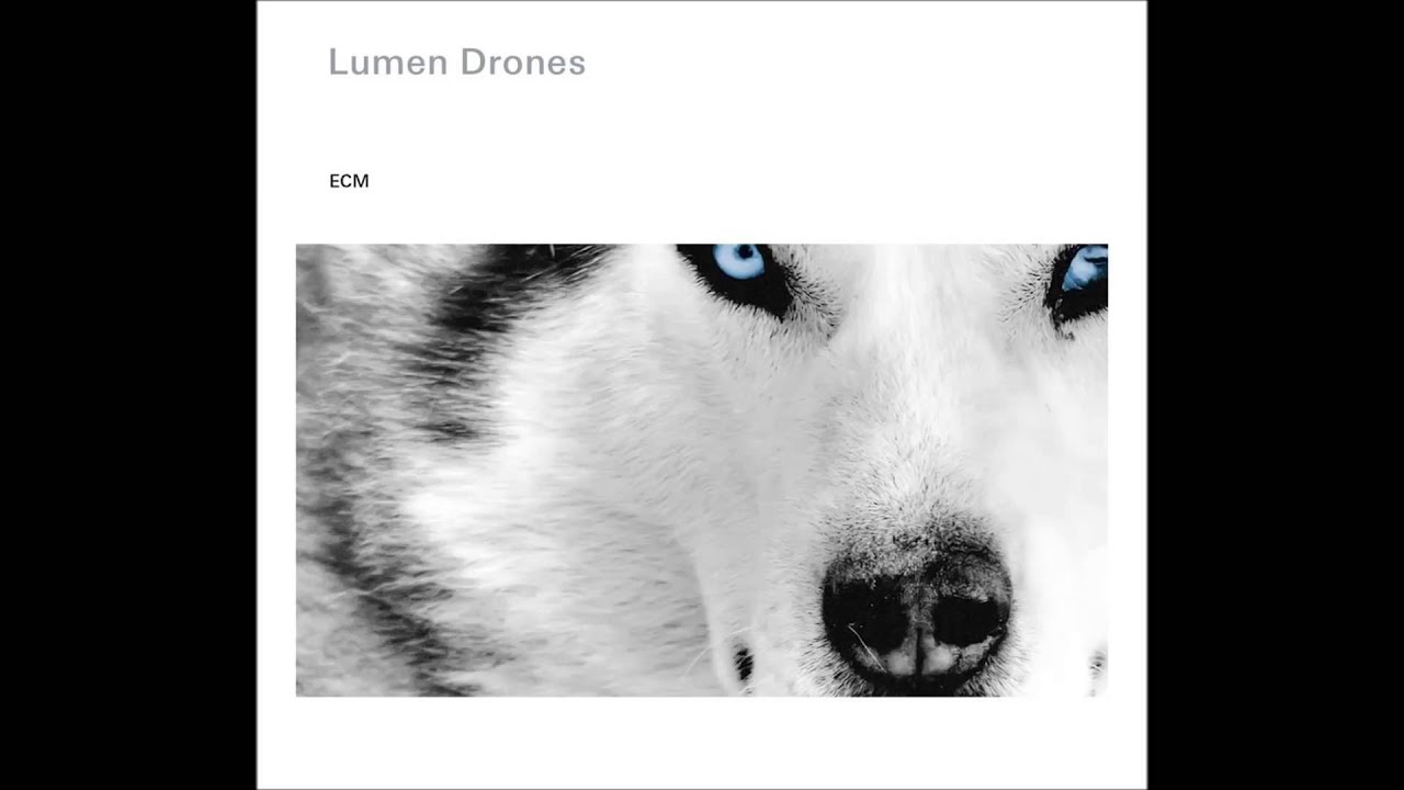 Lumen Drones - Svartaskj