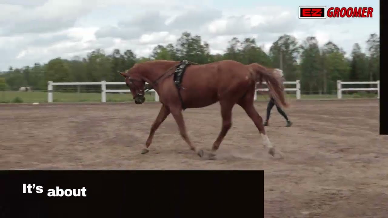 How Proper Arena Grooming Improves Horse Safety & Performance