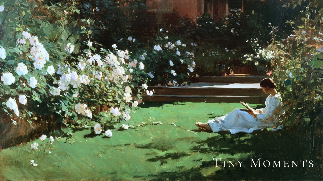 a piano playlist | reading in a spring garden