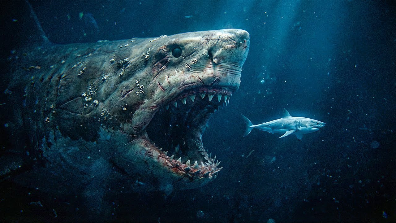 Die geheime Geschichte des MEGALODON | Der Koloss der Ozeane