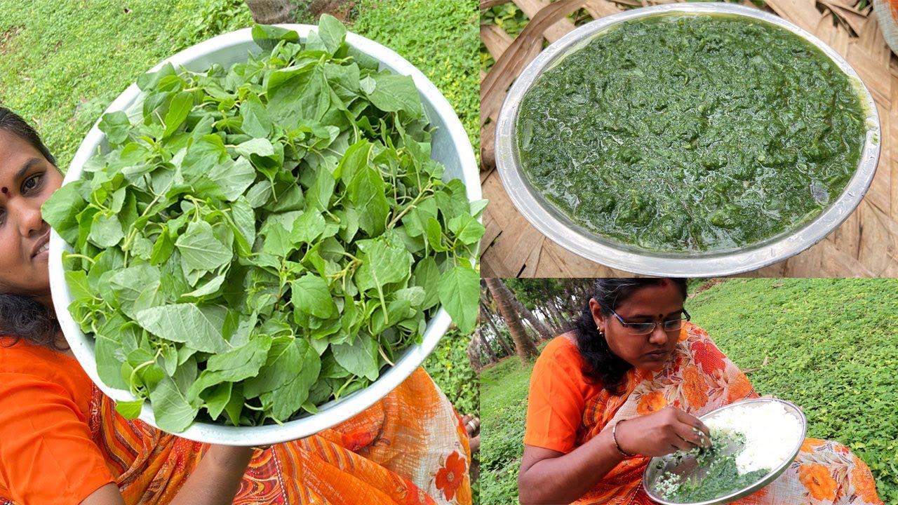 தோட்டத்தில் பறித்து சமைத்த கீரை கடைசல் / சத்தான  கிராமத்து கீரை சமையல் / Keerai Recipe in Tamil