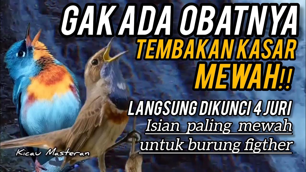 GAK ADA OBATNYA‼️TEMBAKAN KASAR MEWAH LANGSUNG DIKUNCI 4 JURI Part 85