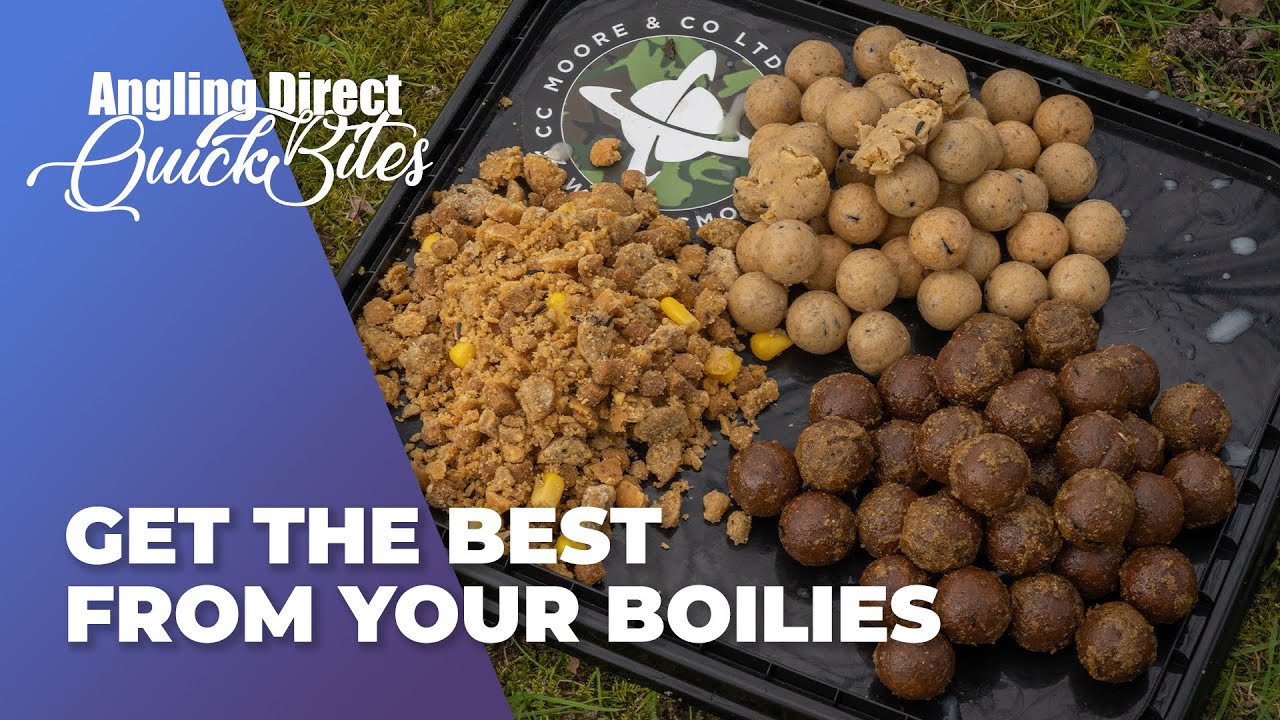 Get The Best From Your Boilies - Carp Fishing Quickbite