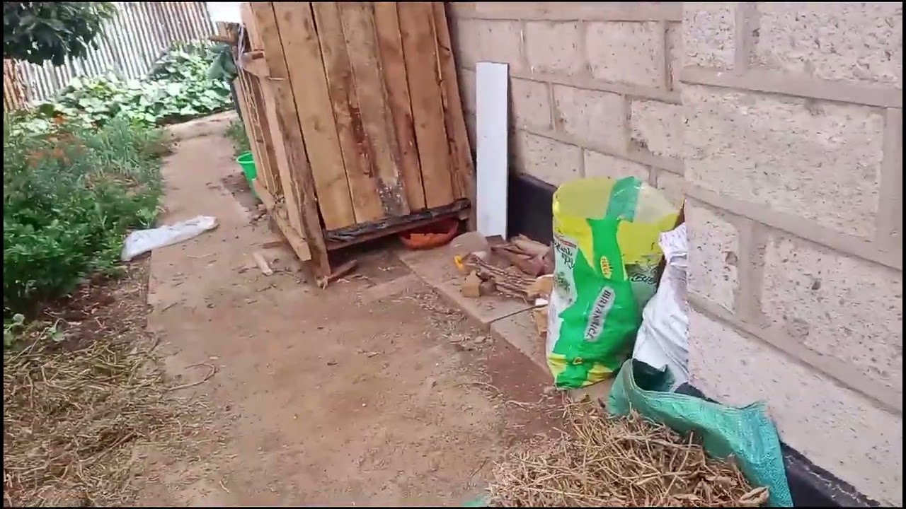 Backyard   farming 