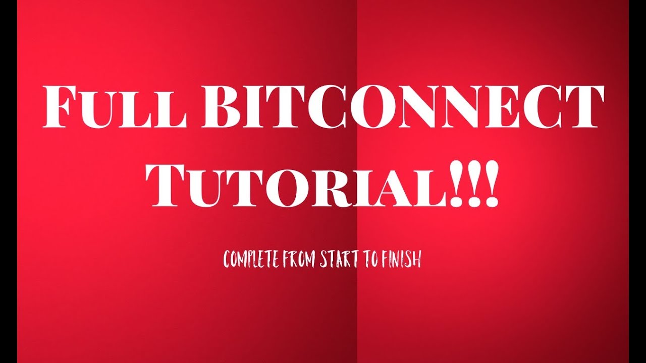 FULL BITCONNECT Tutorial! Get Started the Right way!
