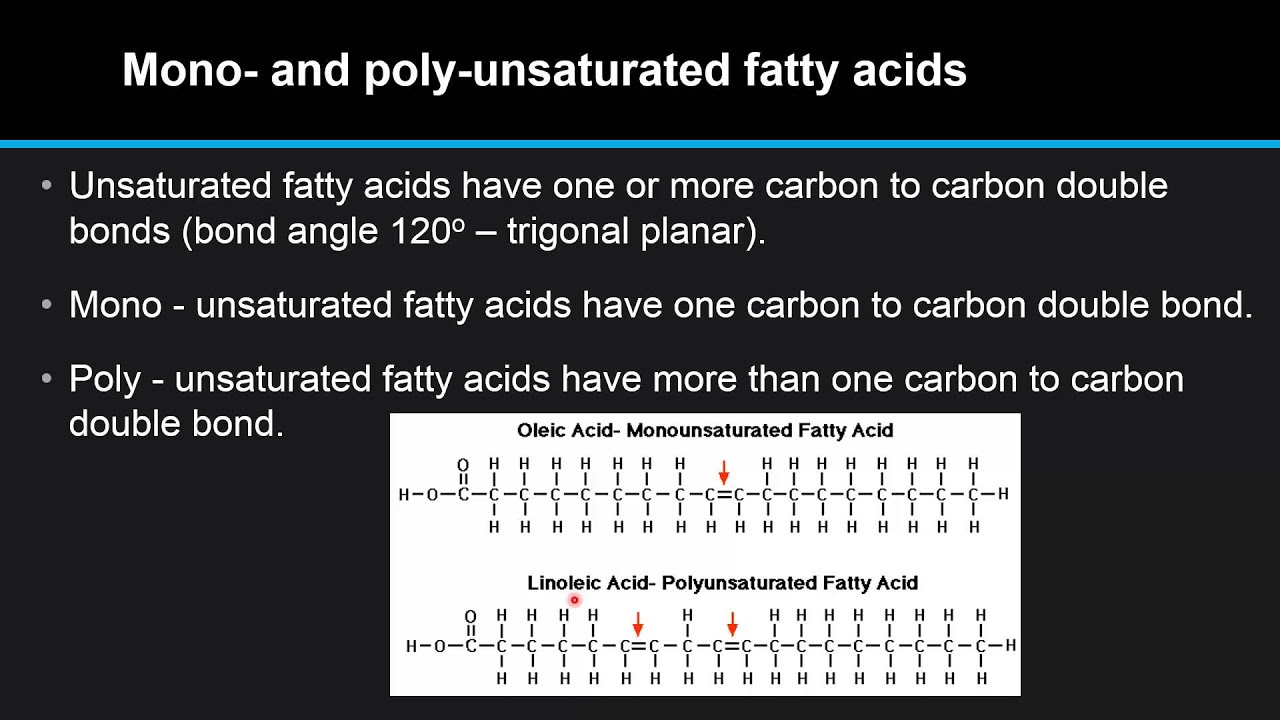 B.4.3 Describe the difference in structure between saturated and unsaturated fatty acids.