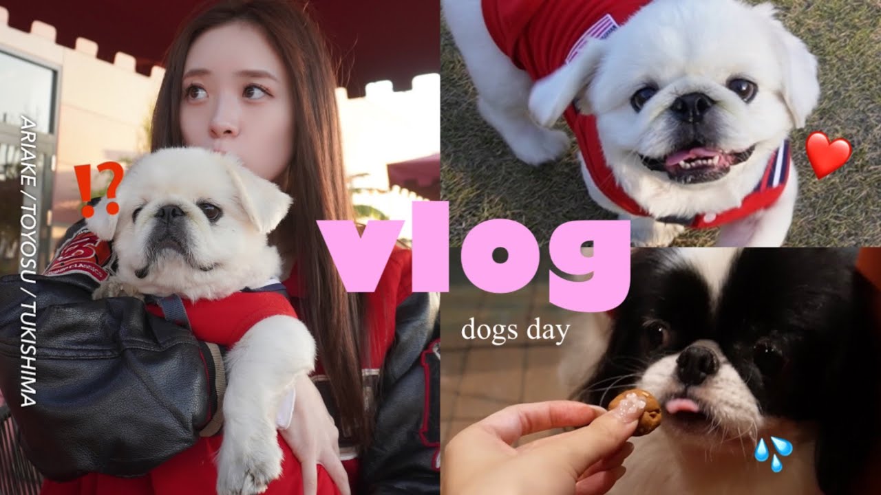 vlog. ペットと行けるご飯屋さんに感動した日🐶🍚✨️