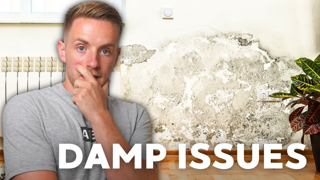 Buy-To-Let Gone Wrong - Mould Problem!