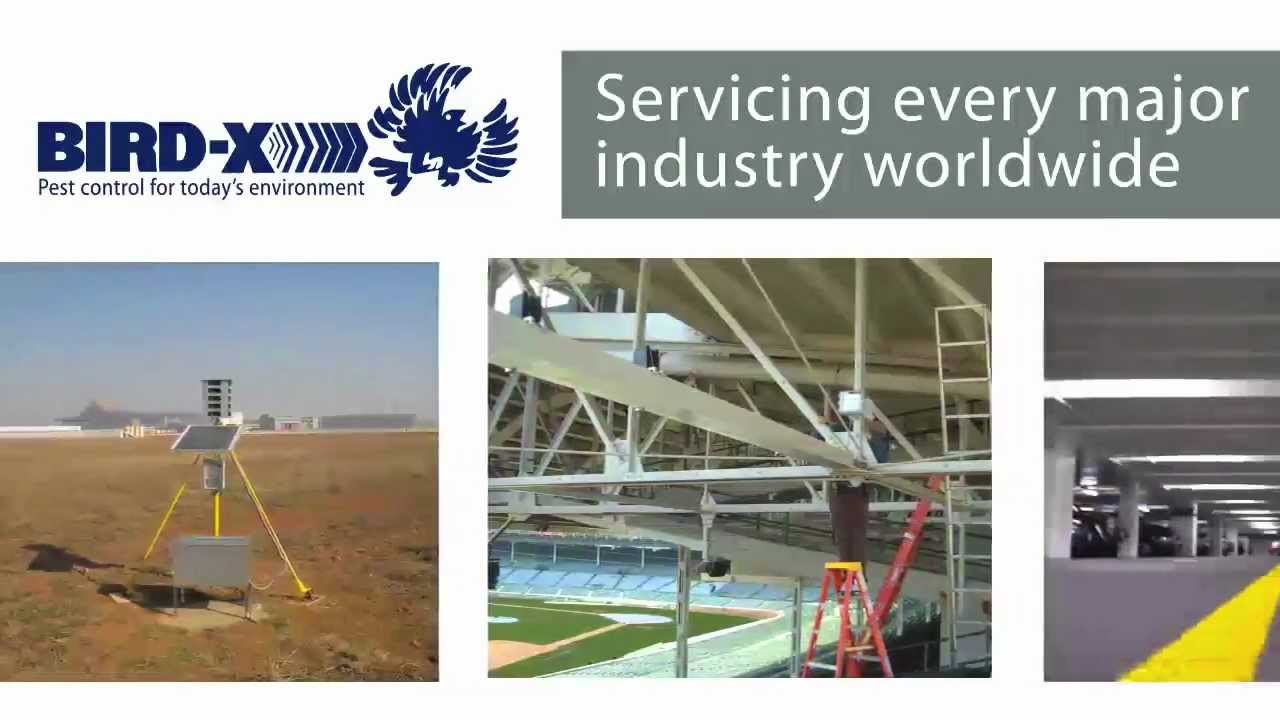 Bird-X Bird Control Experts - About Bird-X