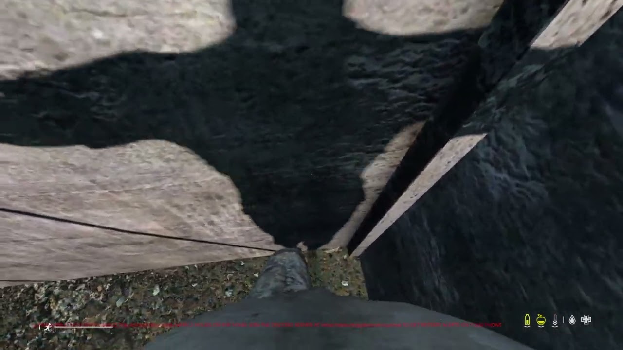 DayZ wallhack glitch ps4/ps5