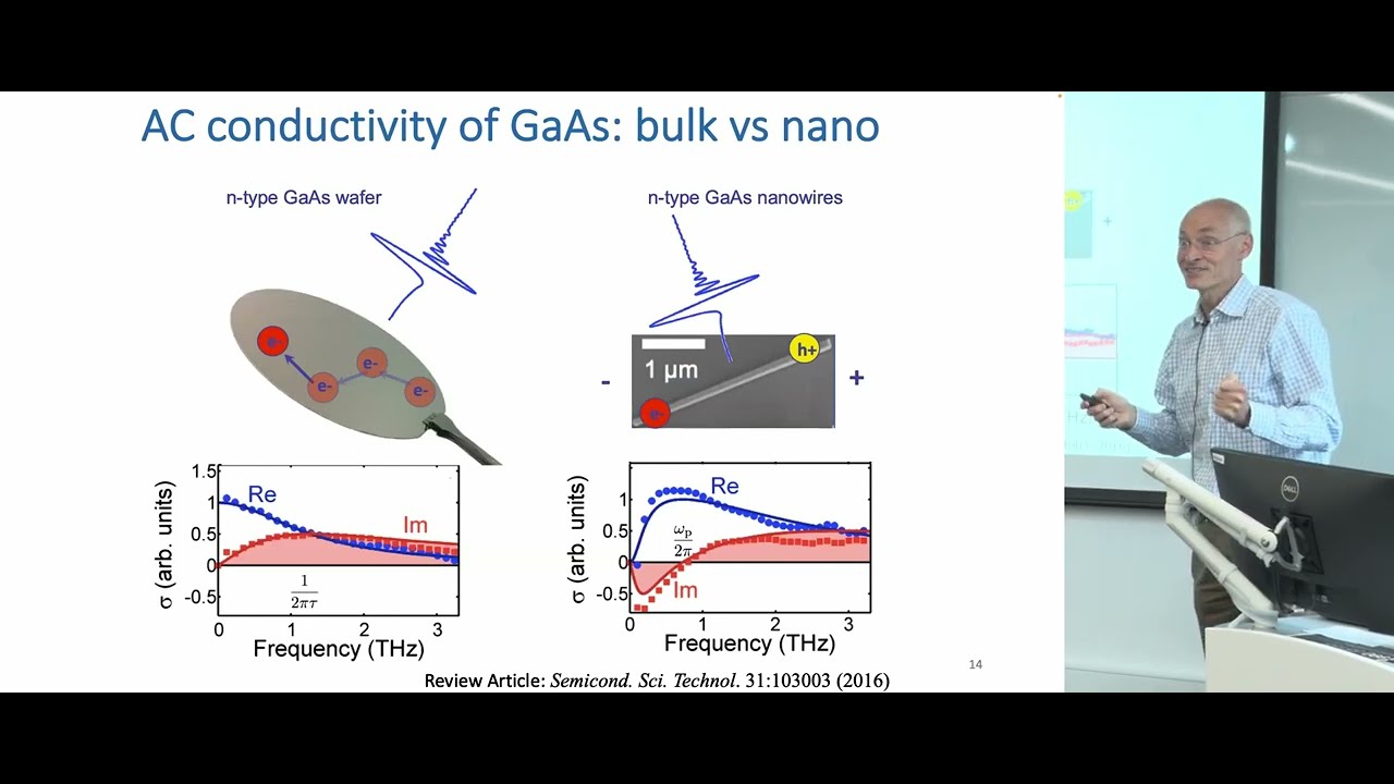 A Spectrum of Semiconductor Photodetectors:from Nanowire Terahertz Sensors to Perovskite Solar Cells