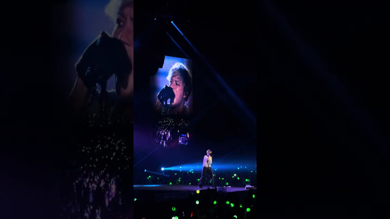 [Fancam] Beauty In Chaos CC in Vietnam - MINE