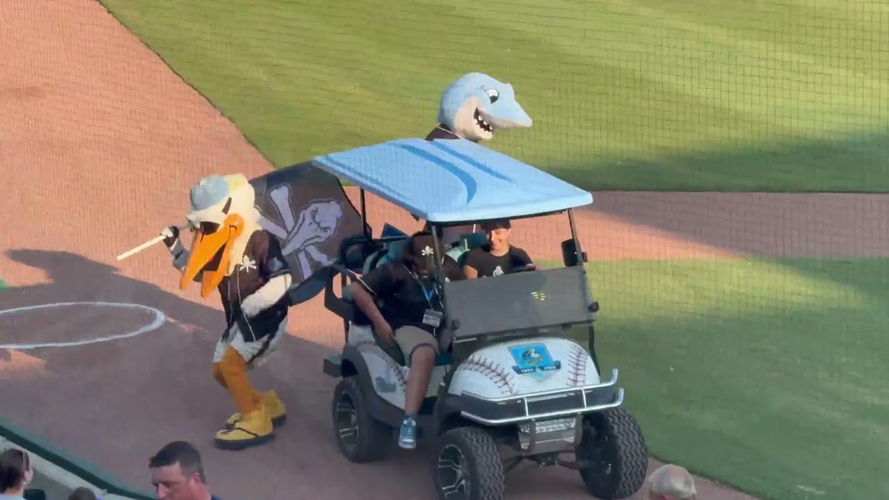 Myrtle Beach Pelicans vs Charleston Riverdogs Gameday Vlog 7-30-26