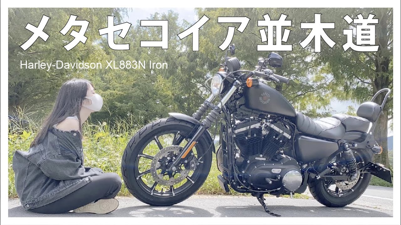 【バイク女子】夏の終わりのメタセコイア並木道