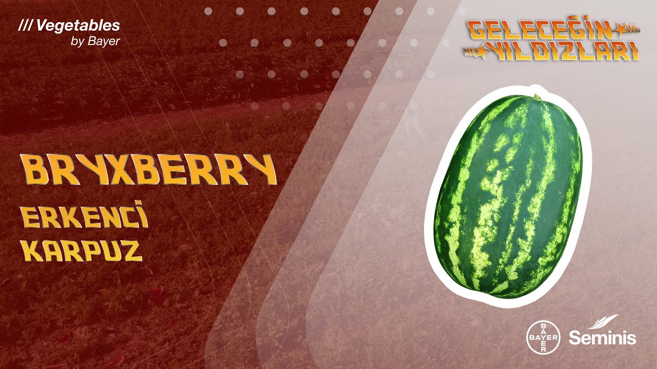 Geleceğin Yıldızları: Bryxberry Erkenci Karpuz