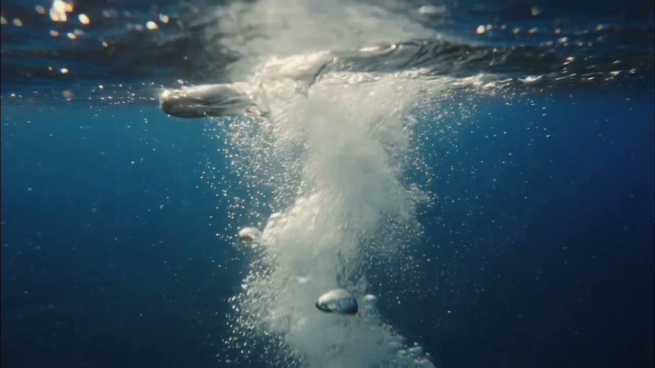 Underwater Ocean Ambience | Deep Sea Calm
