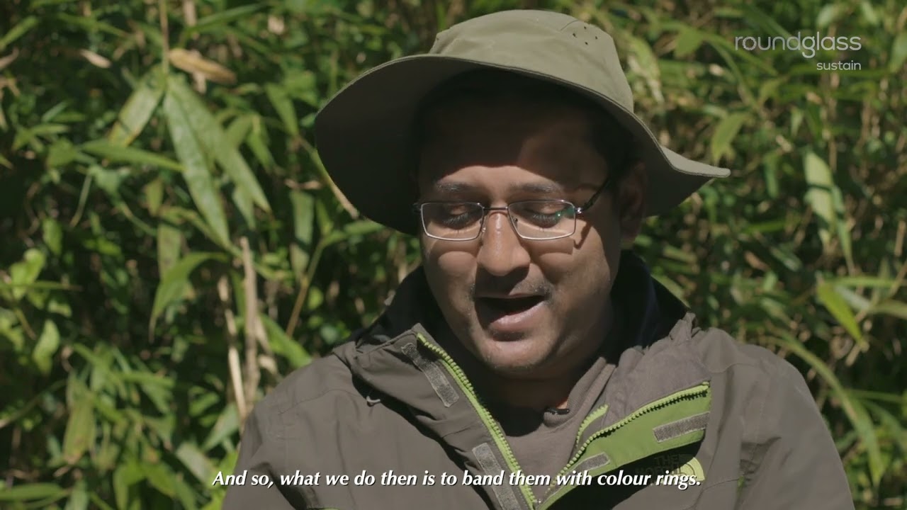 The story of Umesh Srinivasan and his work in Eaglenest Wildlife Sanctuary