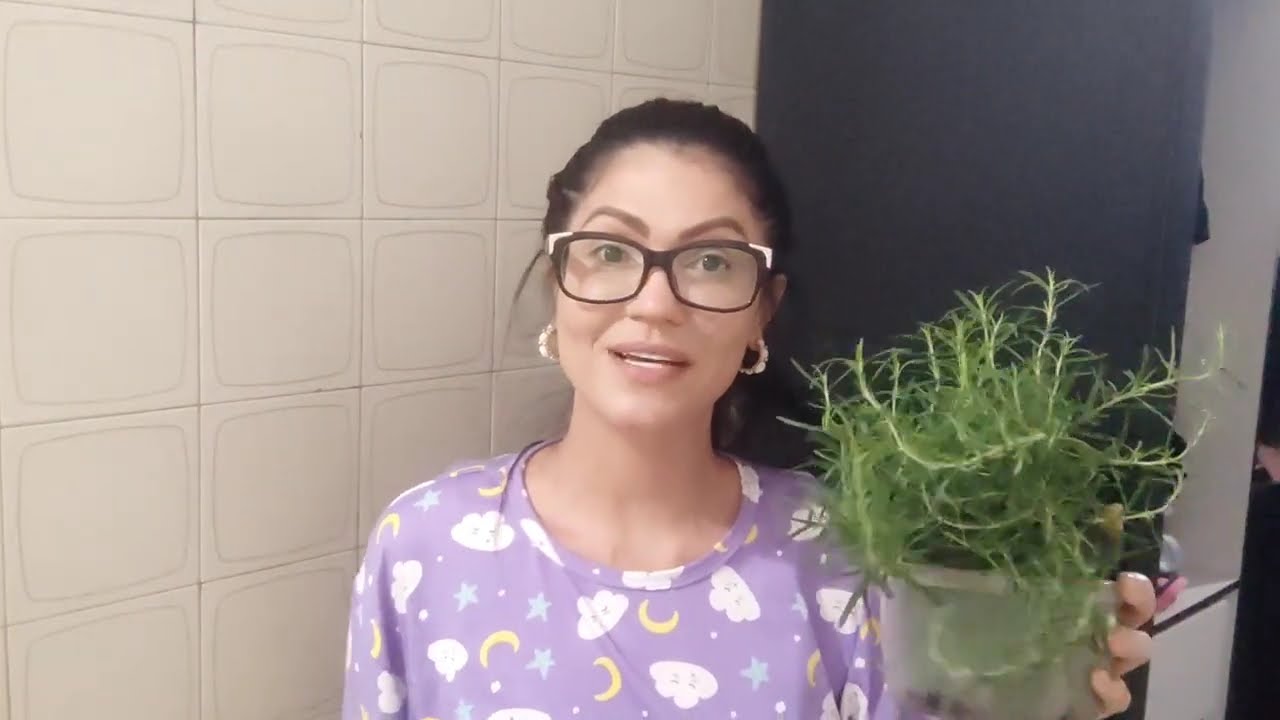 plants, routine, home , trevo 