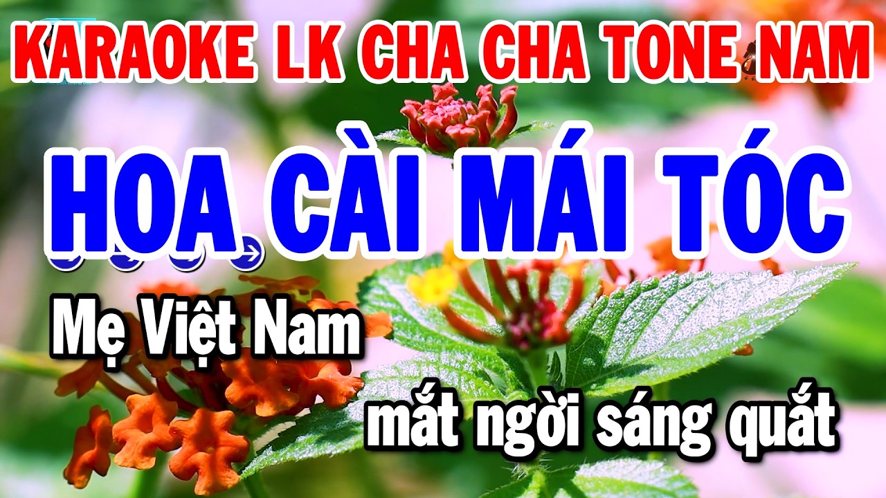 Karaoke Liên Khúc Cha Cha Hay Dễ Hát Tone Nam | Hoa Cài Mái Tóc - Thương Nhau Lý Tơ Hồng | Thanh Hải