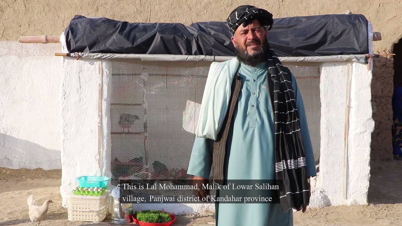 From Poppy to Alternative Livelihoods