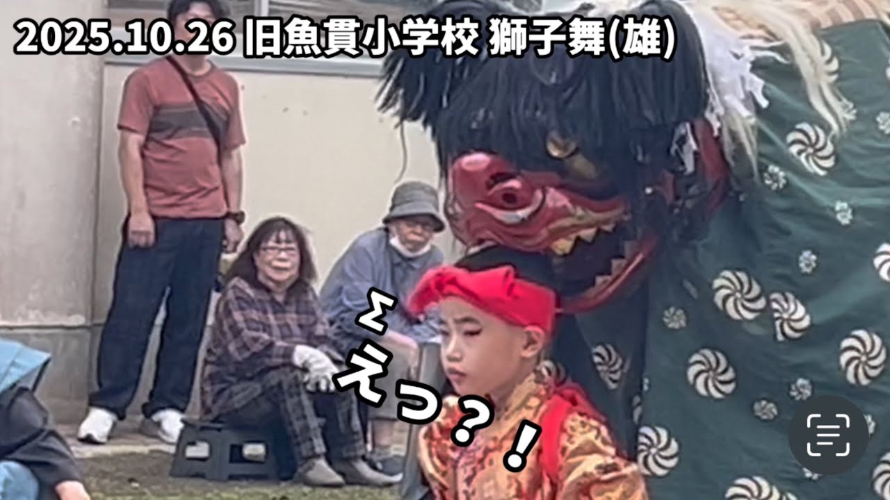 【天草】2025年10月26日「魚貫住吉神社秋祭り」雄獅子舞「恐すぎる」【あまくさもん】