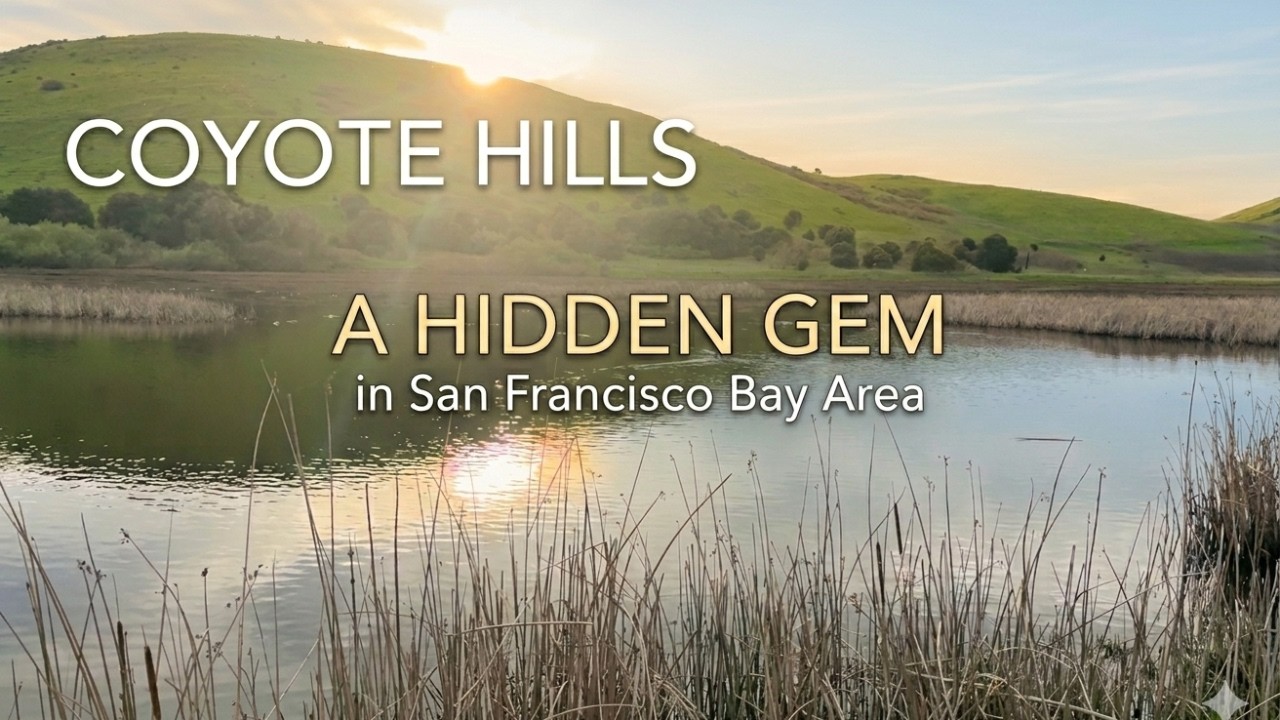Coyote Hills | Hidden Gem in San Francisco Bay Area