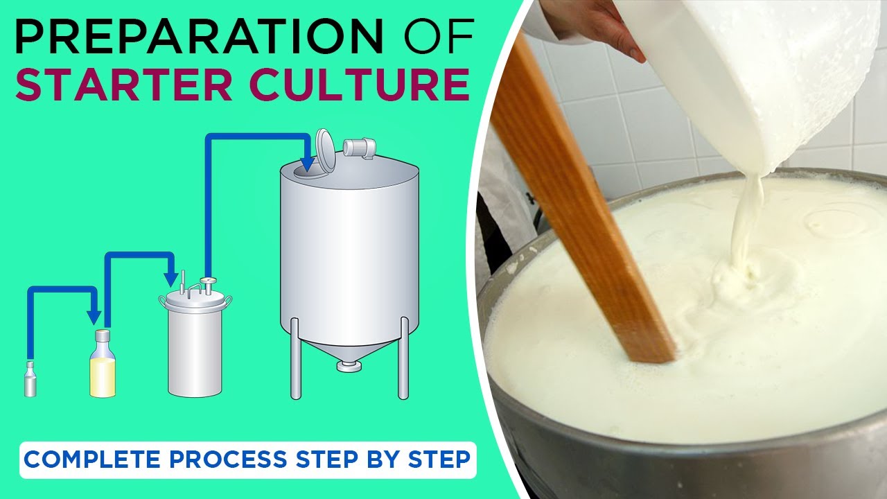 Preparation of Starter Culture