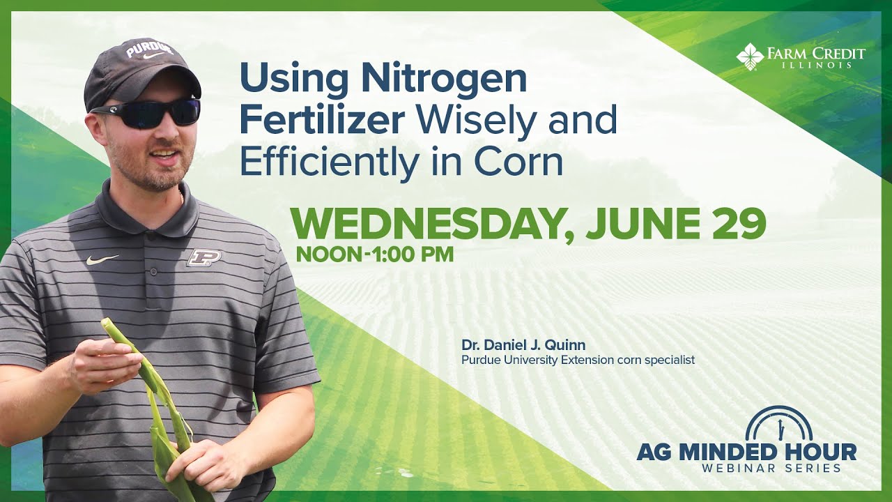 Using Nitrogen Fertilizer Wisely and Efficiently in Corn with Dr. Daniel Quinn