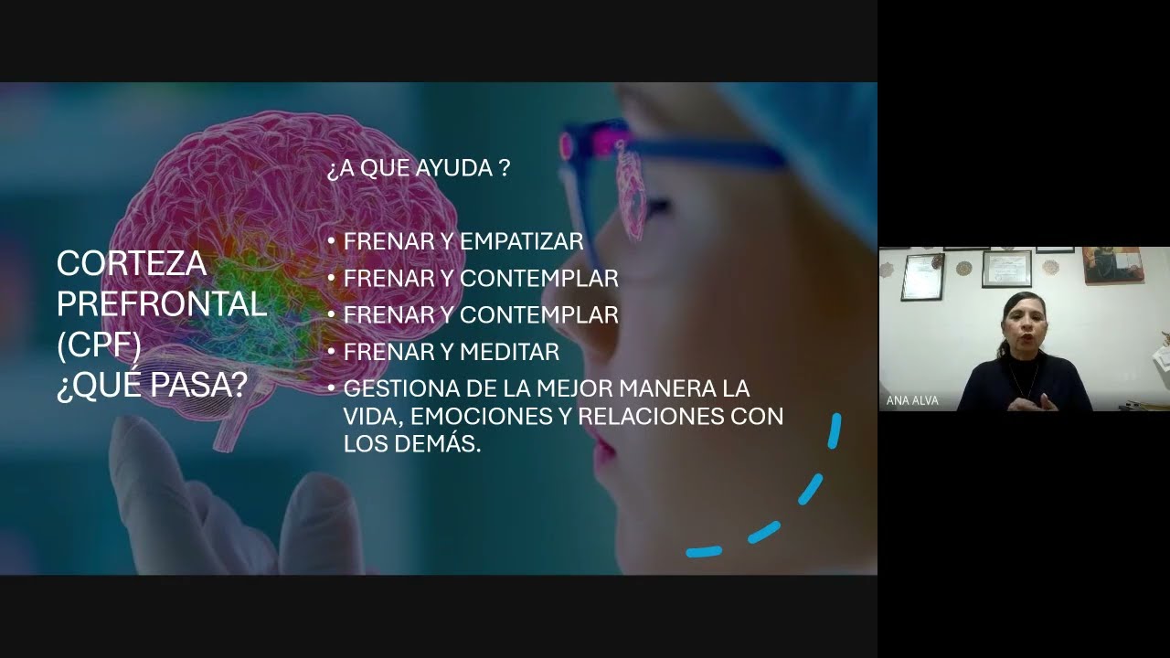 Cómo afectan las pantallas los cerebros de niños y  adolescentes .