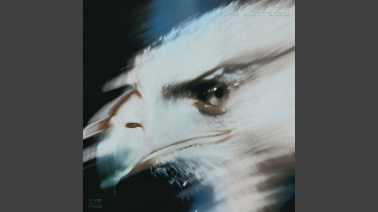 Falco a metà (feat. Gianluca Grignani)