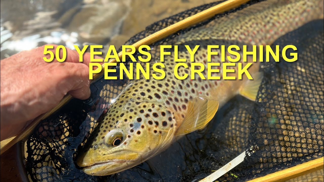 50 Years Fly Fishing Penns Creek