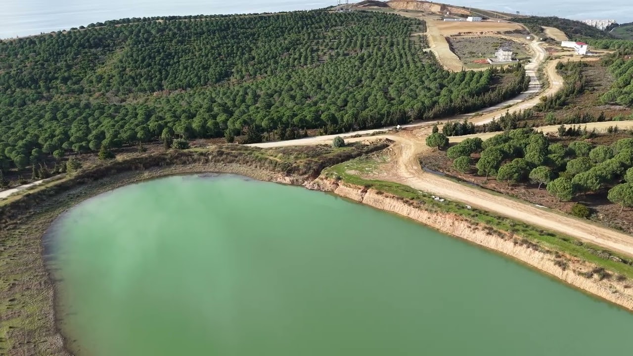 DJI 20260214162751 0013 D