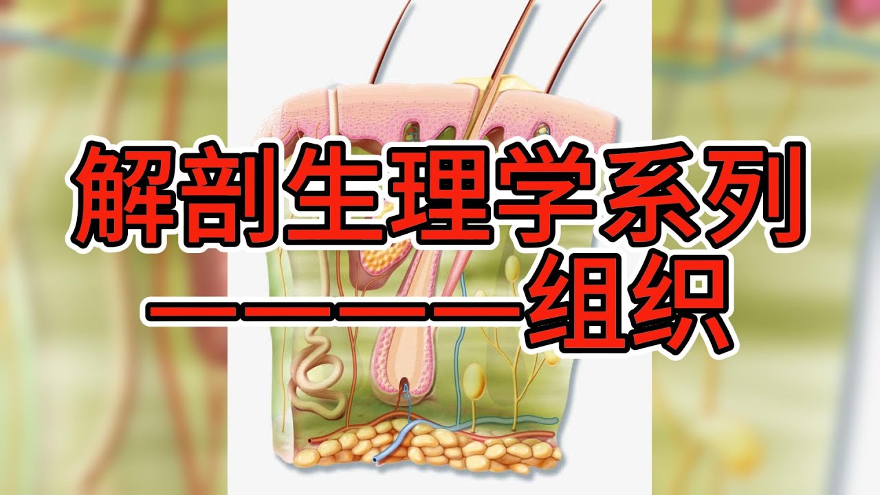 身体组织解密：深入探索构成我们的奇妙细胞和组织：身体组织之谜：探索人体内各种组织的功能与互动：奇妙的身体组织：解析构成我们的神秘生命之谜：身体组织探索之旅：揭开人体组织背后的奥秘：身体的奇迹：