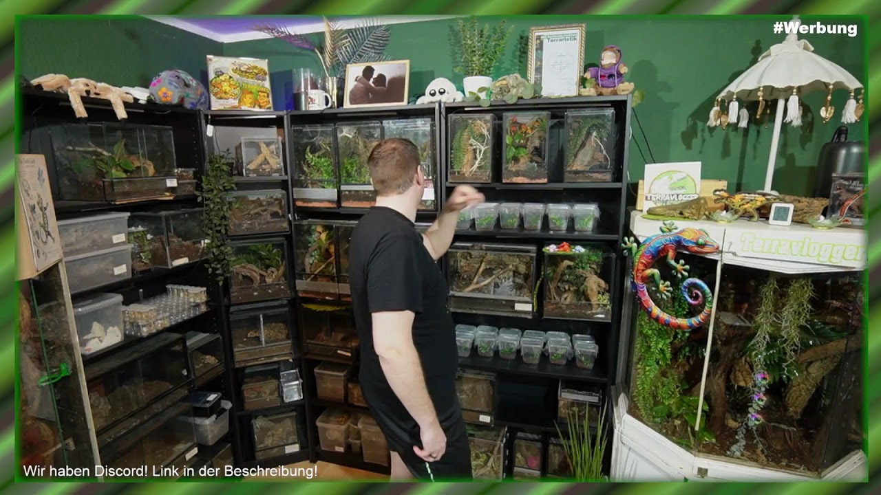 Terraristik Stream