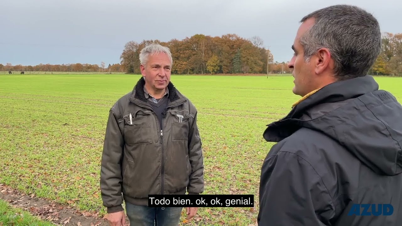 Riego por Goteo Subterráneo en cultivo de patata